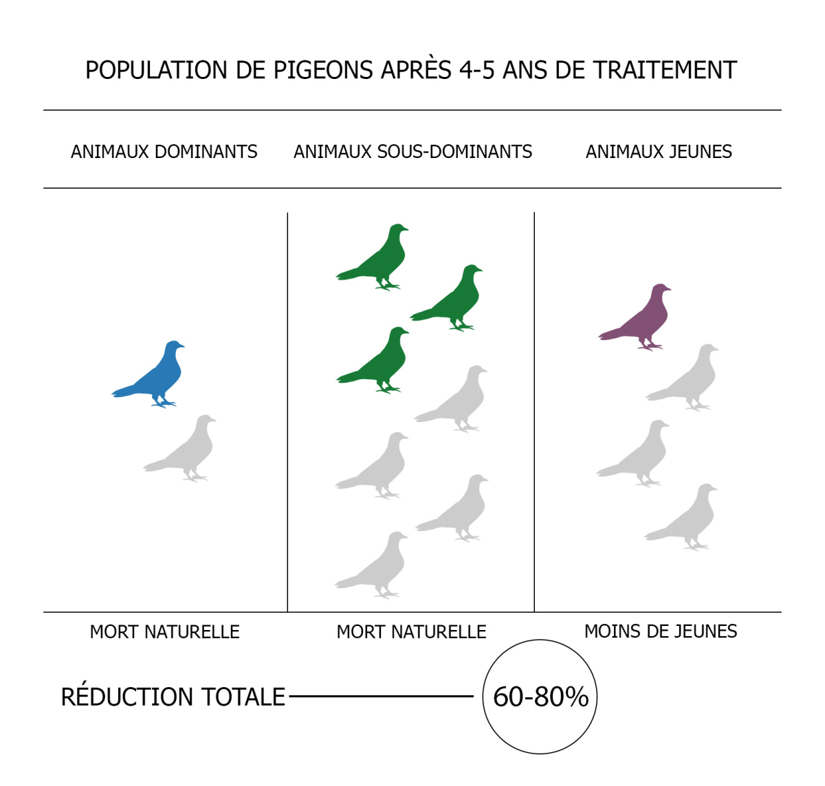 Vets For City Pigeons Approche