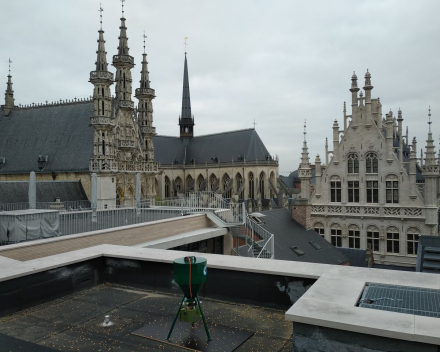 Afbeelding: Stad Leuven