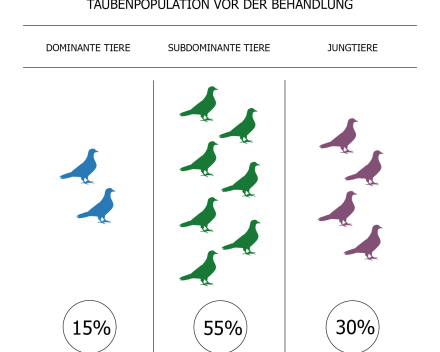 Vergrößern 