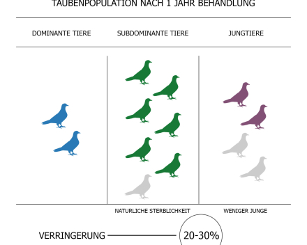 Vergrößern 