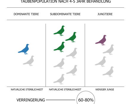 Vergrößern 