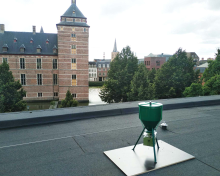 Corn dispenser on the roof of the library