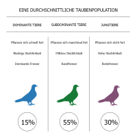 Vergrößern